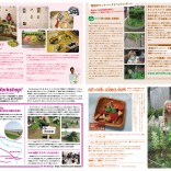 原宿ポケットパーク「植物マップ」（8月号）