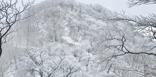 英彦山・英彦神宮